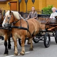 Horse-Drawn Carriage Rides