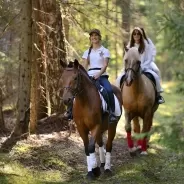 HORSE RIDING