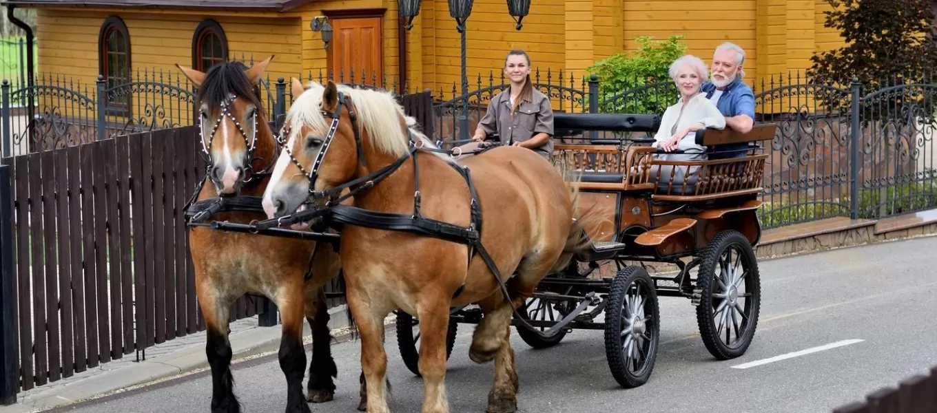 Horse-Drawn Carriage Rides